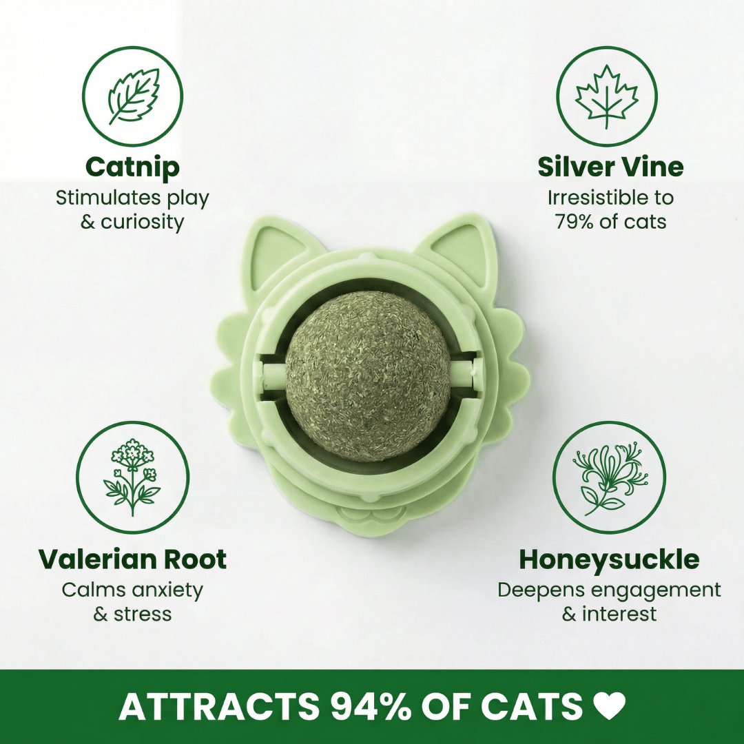 4 in 1 Feline Therapy Ball