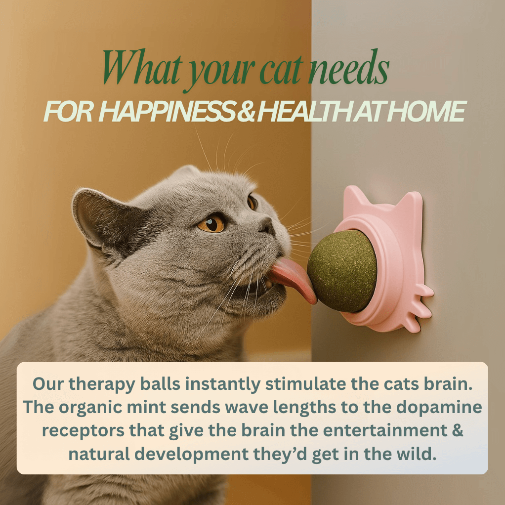 Catnip therapy ball