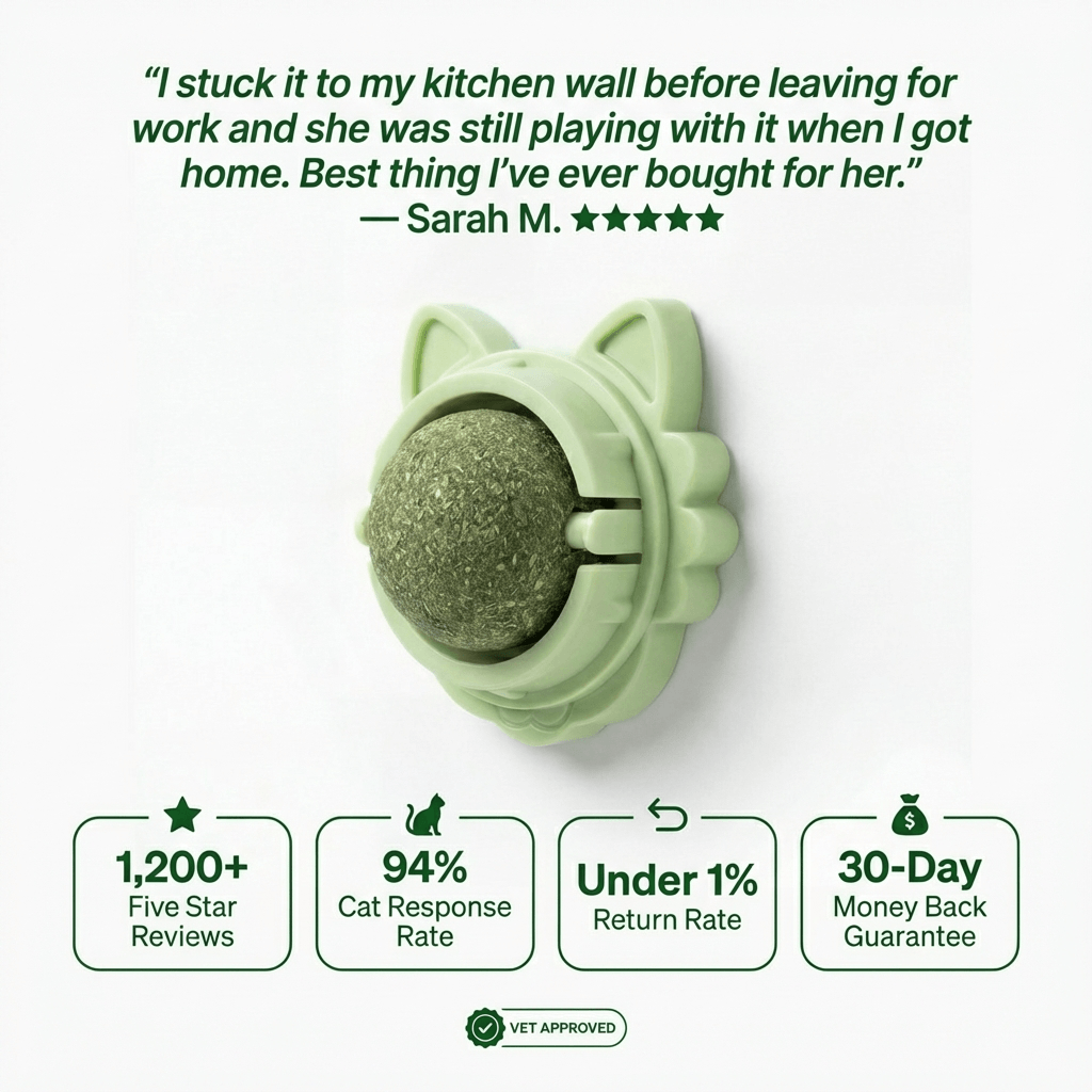 4 in 1 Feline Therapy Ball