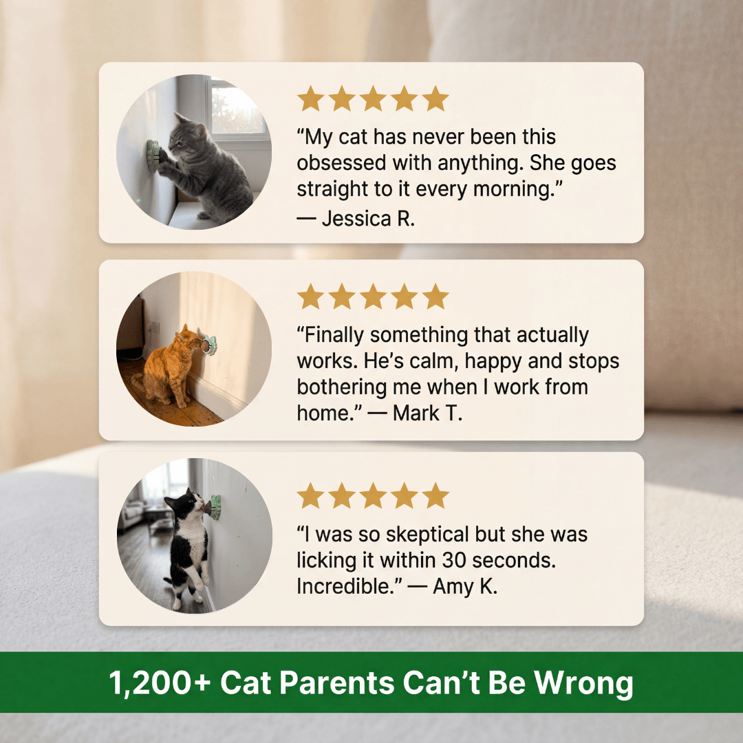 4 in 1 Feline Therapy Ball